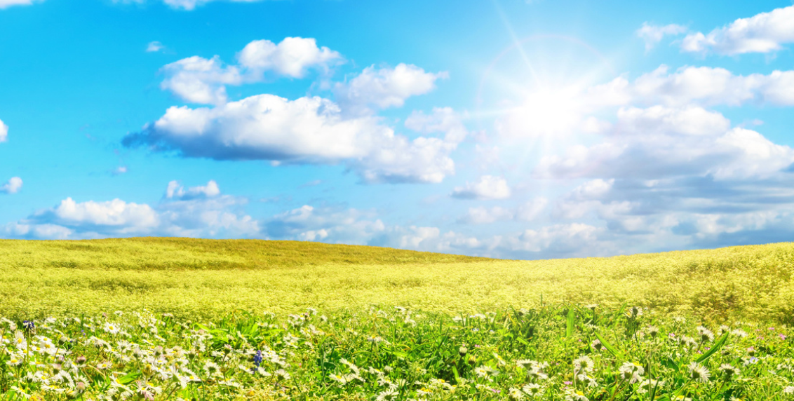 nature_image